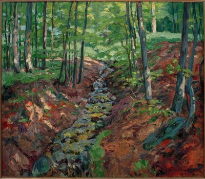 Il Reichenbach nel Taunus da Philipp Franck