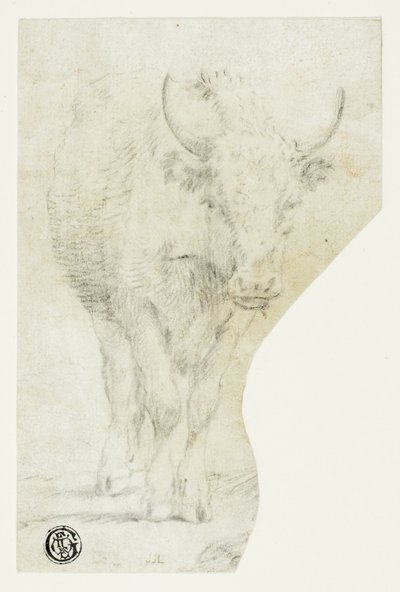 Mucca da Philipp Peter Roos