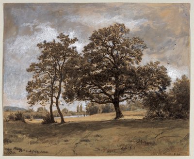 La quercia di Otto Fröhlicher da Philipp Röth