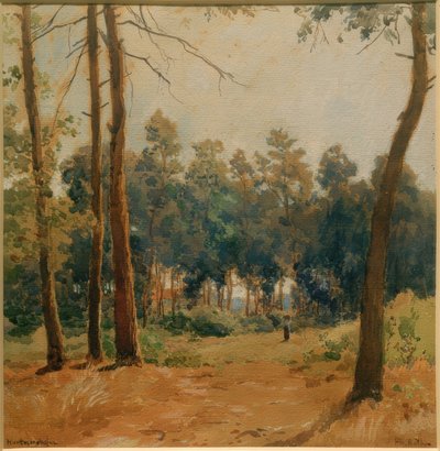 Paesaggio boschivo presso Hartmannshofen da Philipp Röth