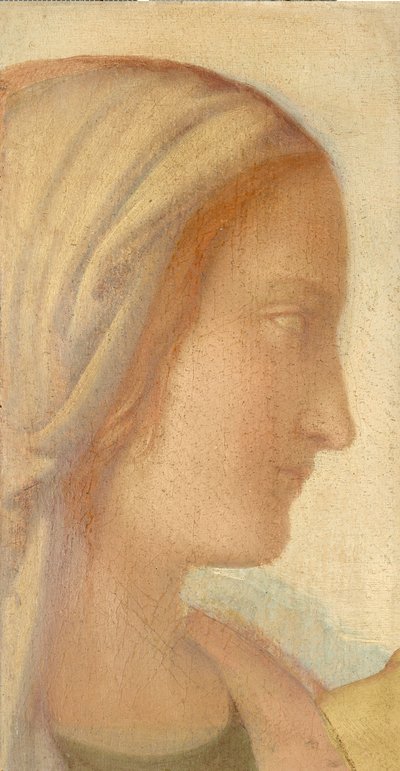 Mädchenprofil da Philipp Veit