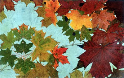 Feuilles d