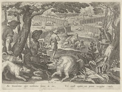 Caccia al cinghiale da Philips Galle