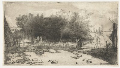 Paesaggio con una staccionata bianca da Philips Koninck