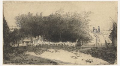 Paesaggio con una staccionata bianca da Philips Koninck