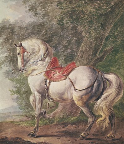 Un cavallo bianco da Philips Wouwerman