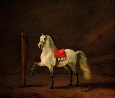 Un cavallo bianco nella stalla da Philips Wouwerman
