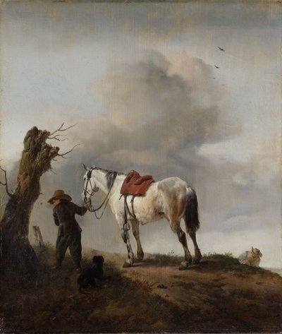 Il cavallo grigio da Philips Wouwerman