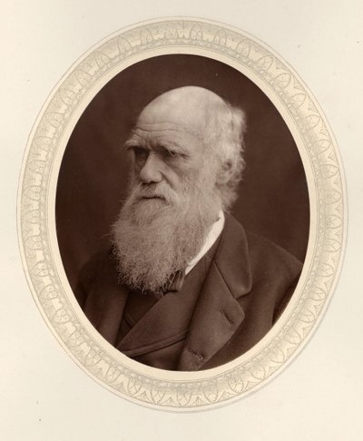 Ritratto di Charles Darwin, 1877 da Photo studio Lock and Whitfield