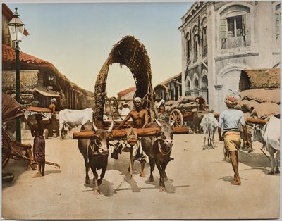 India. Ceylon. Colombo. Scena di strada, da una foto del Dr. Kurt Boeck da Photoglob Co. (Zurich, active c. 1890 1910)