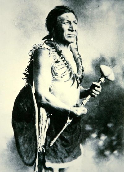 Cigno Bianco, Guerriero da Photographer American