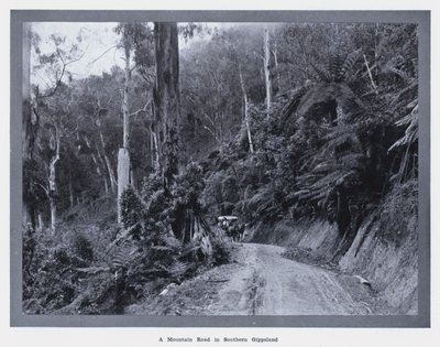 Una strada di montagna nel Gippsland meridionale da Photographer Australian