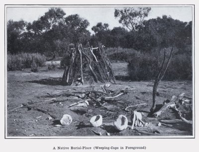 Un Luogo di Sepoltura Nativo, Cappelli Piangenti in Primo Piano da Photographer Australian