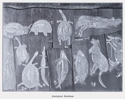 Disegni Aborigeni da Photographer Australian