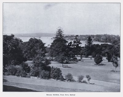 Giardini Botanici, Farm Cove, Sydney da Photographer Australian
