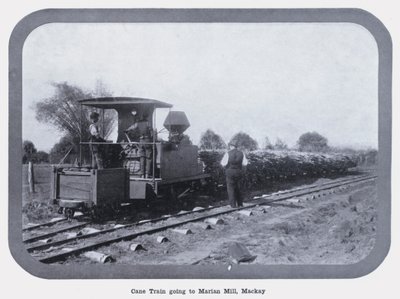 Treno della Canna che va al Mulino Marian, Mackay da Photographer Australian