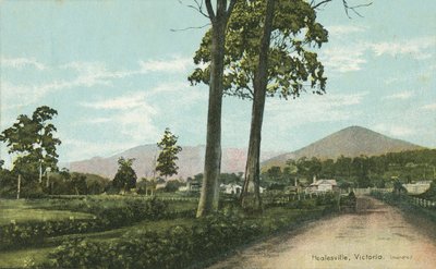 Healesville, Victoria, Australia da Photographer Australian