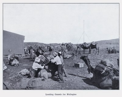 Caricamento di cammelli per Nullagine da Photographer Australian