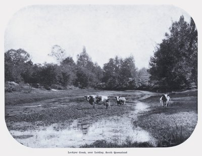 Lockyer Creek, vicino a Laidley, Sud Queensland da Photographer Australian