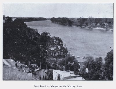 Long Reach a Morgan sul fiume Murray da Photographer Australian