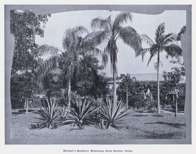 Residenza del direttore, Kamerunga State Nursery, Cairns da Photographer Australian