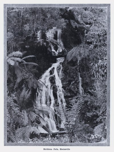 Cascate di Mathinna, Healesville da Photographer Australian
