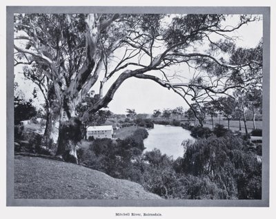 Fiume Mitchell, Bairnsdale da Photographer Australian