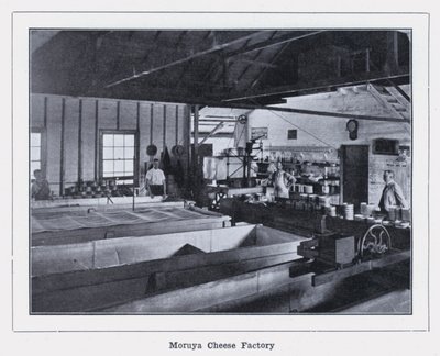 Fabbrica di formaggio di Moruya da Photographer Australian