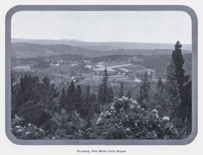 Piccadilly, dalle catene montuose di Mount Lofty da Photographer Australian
