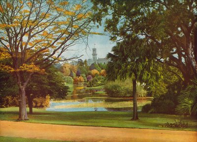  da Photographer Australian