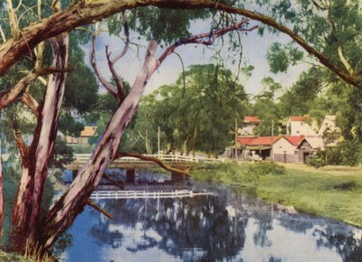 Il Ruscello Tranquillo da Photographer Australian