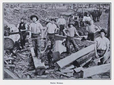 Lavoratori del Legno da Photographer Australian