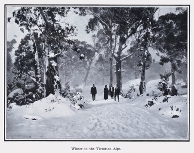 Inverno nelle Alpi Vittoriane da Photographer Australian