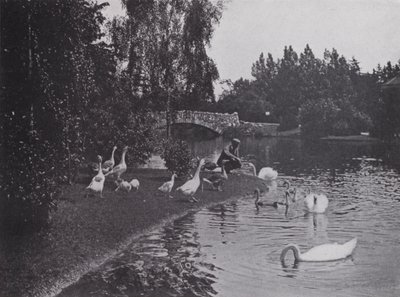 Lago, Beacon Hill Park, Victoria, Columbia Britannica da Photographer Canadian