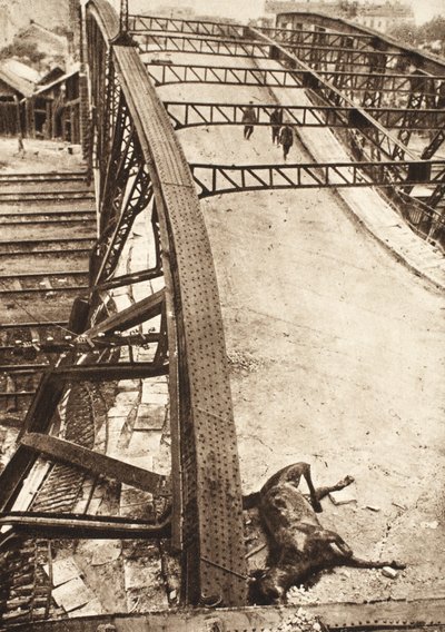 Sfonda delle armate alleate in Galizia orientale: passerella ferroviaria fatta esplodere dai russi a Ternopil da Photographer German