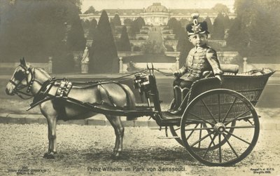 Principe ereditario Willhelm, Palazzo di Sanssouci, Potsdam da Photographer German