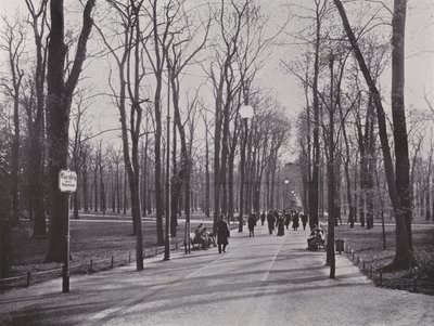 Nel Tiergarten, sentiero degli aceri da Photographer German