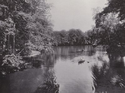 Nel Tiergarten, Neuer See da Photographer German