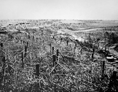 Difese con filo spinato tedesche della posizione di Beaurevoir, parte della Linea Hindenburg da Photographer German