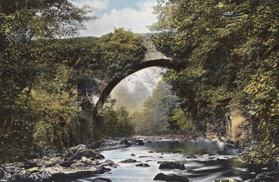 Irlanda: Ponte Dargle, Contea di Wicklow da Photographer Irish