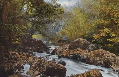 Irlanda: Nel Dargle, Contea di Wicklow da Photographer Irish