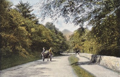 Irlanda: La Valle dei Downs, Monte Sugar Loaf, Contea di Wicklow da Photographer Irish