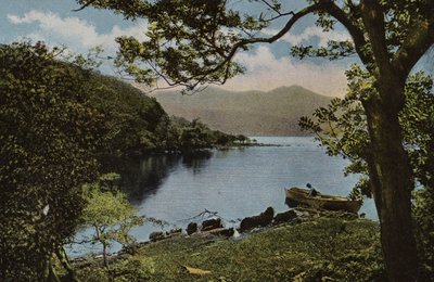 Irlanda del Sud: A Innisfallen, Killarney da Photographer Irish