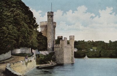 Irlanda del Sud: Castello di Blackrock, Contea di Cork (foto colorata) da Photographer Irish