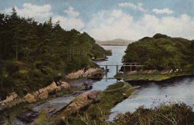 Irlanda del Sud: Parknasilla, Contea di Kerry da Photographer Irish