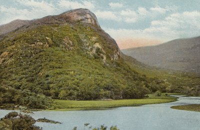 Irlanda del Sud: Il Nido dell