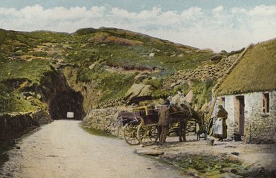 Irlanda del Sud: Tunnel vicino a Glengarriff, Contea di Cork da Photographer Irish