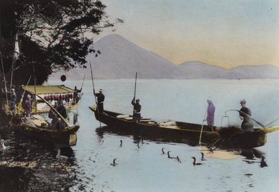 Giappone, c.1912: Pesca con un cormorano, Nagaragawa da Photographer Japanese