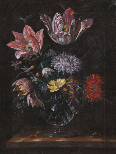 Anonimo, di Jacob Marrel da Pictufy