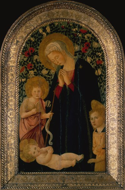 La Madonna che Adora il Bambino con il Piccolo San Giovanni Battista, Angelo e Siepe di Rose dietro da Pier Francesco Fiorentino